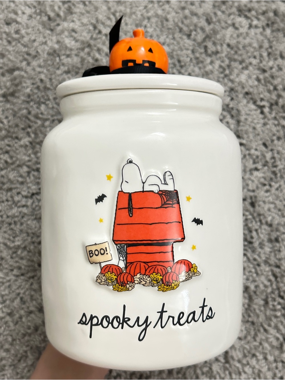 Rae Dunn Peanuts Snoopy Jar Canister